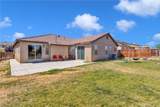 13912 Pinellia - Photo 31