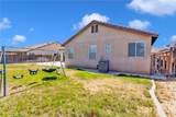 13912 Pinellia - Photo 34