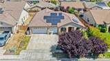 13912 Pinellia - Photo 36