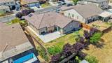 13912 Pinellia - Photo 41