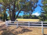 1415 Charolais - Photo 1
