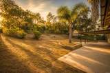 5240 Jack Pine Ct - Photo 17