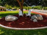 23841 Piedras - Photo 14