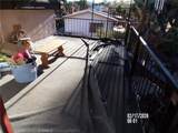 56563 Golden Bee - Photo 13