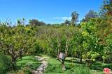 6625 Zumirez Drive - Photo 42