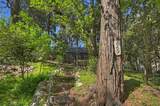 669 Knoll - Photo 11