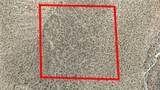 11 Highway 247/Brack Rd - Photo 6