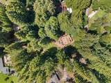 266 Coffeeberry Drive - Photo 2