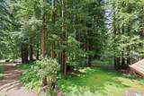 266 Coffeeberry Drive - Photo 39