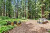 266 Coffeeberry Drive - Photo 41