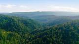 18836 Favre Ridge Road - Photo 84