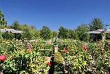 10 Thorp - Photo 31