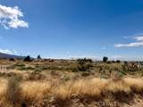 0 Ailanthus - Photo 2