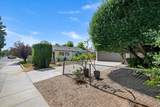 5305 Palm - Photo 12