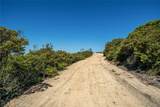 6175 Balm Ridge Way - Photo 23