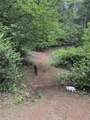 311 Hollow Oak - Photo 65
