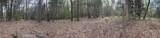 311 Hollow Oak - Photo 67