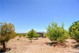 11020 Lantry - Photo 41
