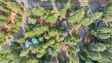 6231 Merry - Photo 5