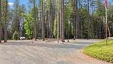 6231 Merry - Photo 7