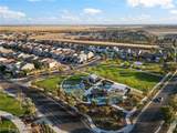 4693 Del Oro Road - Photo 35