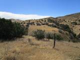 0 New Idria Road - Photo 11