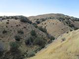 0 New Idria Road - Photo 13