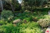20521 Cheney Drive - Photo 30