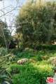 20521 Cheney Drive - Photo 35
