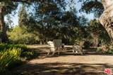 20521 Cheney Drive - Photo 49