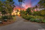 3655 Lupine Lane - Photo 2