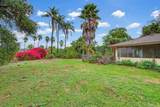 3655 Lupine Lane - Photo 5