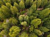 295 Jims Road - Photo 134