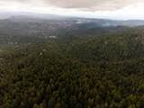 295 Jims Road - Photo 135