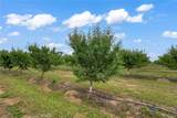 14706 Peach Avenue - Photo 29