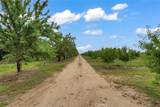 14706 Peach Avenue - Photo 33