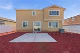 30896 Wild Berry - Photo 54