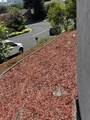 8206 Rhoda Ave - Photo 6