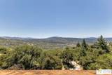 53015 Double View Drive - Photo 50