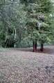 0 Long Branch Road - Photo 1