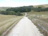 2750 Raptor Ridge Trail - Photo 30