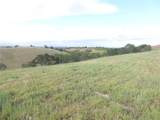 2750 Raptor Ridge Trail - Photo 39