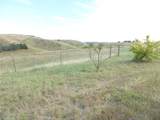 2750 Raptor Ridge Trail - Photo 42