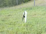 2750 Raptor Ridge Trail - Photo 43