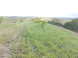 2750 Raptor Ridge Trail - Photo 46