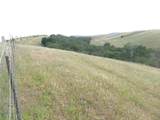 2750 Raptor Ridge Trail - Photo 51