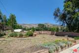 1212 Palm Street - Photo 10