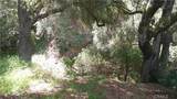 1003 Carbon Canyon - Photo 4