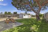 37340 Locust St - Photo 22