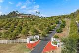 42371 Via De Los Fideos - Photo 15